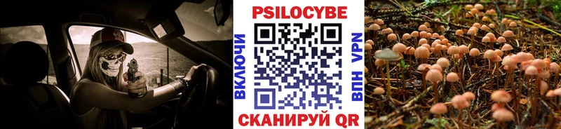 мега как зайти  даркнет сайт  Арзамас  Галлюциногенные грибы Psilocybe 